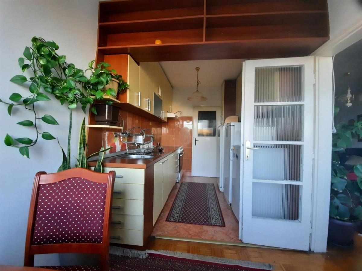 Ferienwohnung Bliri Bliri Belgrad Exterior foto